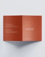 Aureum Program - Image 2