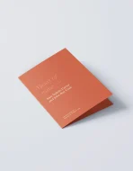 Aureum Program - Image 4