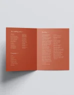 Aureum Program - Image 3