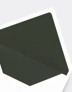 Invitation Euro Flap Envelope Liner - Image 2