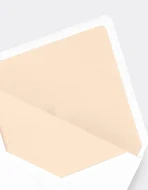 DL Euro Flap Envelope Liner - Image 2