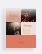 Aureum Website - Image 3