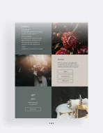 Elysium Website - Image 3