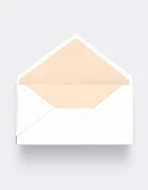 DL Euro Flap Envelope Liner